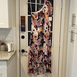 NWT GORGEOUS CROSBY LOWERY FLOWERPRESS DRESS